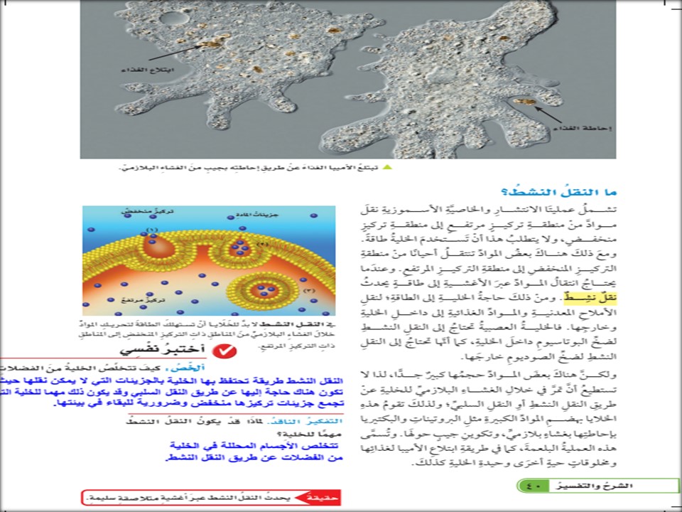 حل اسئلة مادة العلوم للصف السادس الابتدائي الفصل الدراسي الأول