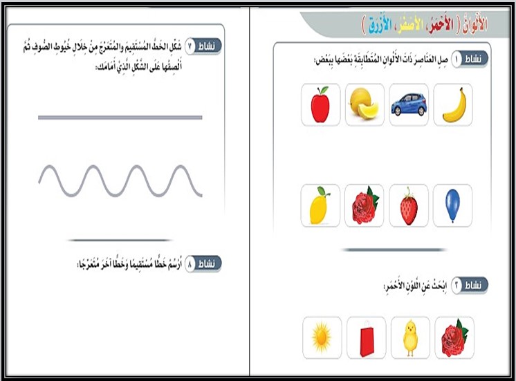 مهارات مادة الرياضيات الصف الأول الابتدائي التربية الفكرية الفصل الدراسي الأول