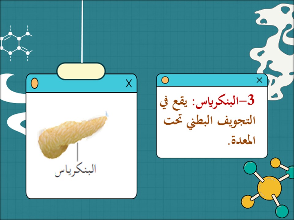 مهارات مادة العلوم ثاني كبيرات فصل دراسي اول