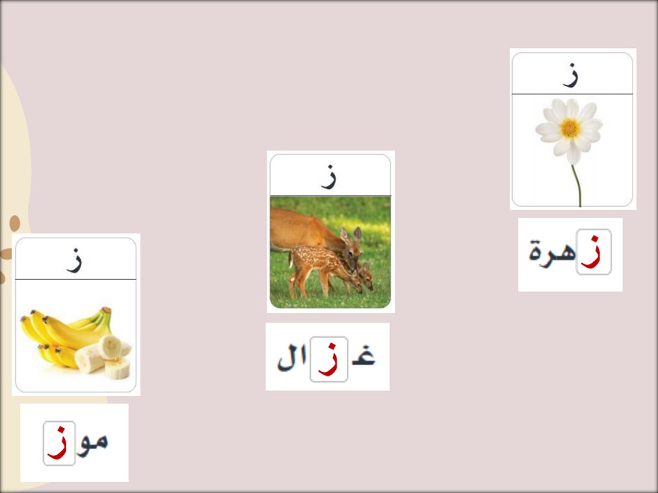 بوربوينت لغتي الصف الثالث الابتدائي تربية فكرية فصل دراسي اول