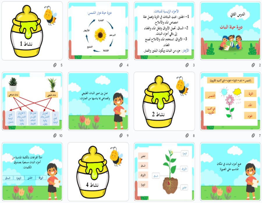 تحضير لمادة العلوم الصف الاول متوسط تربية فكرية فصل دراسي اول