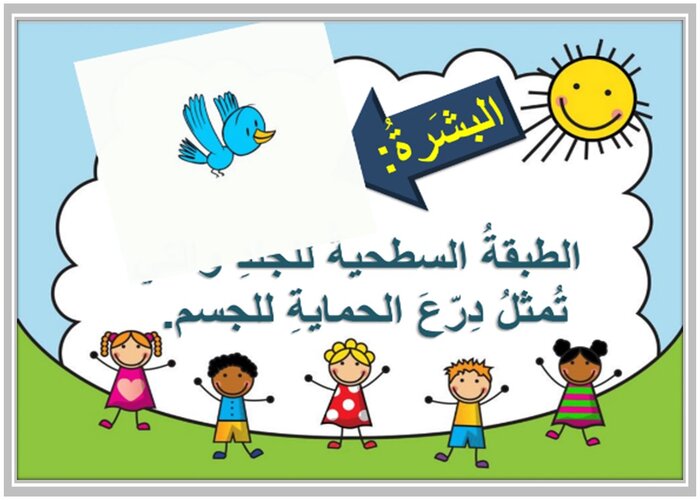 تحضير درس بشرتي مادة التربية الأسرية للصف السادس الابتدائي الفصل الدراسي الأول