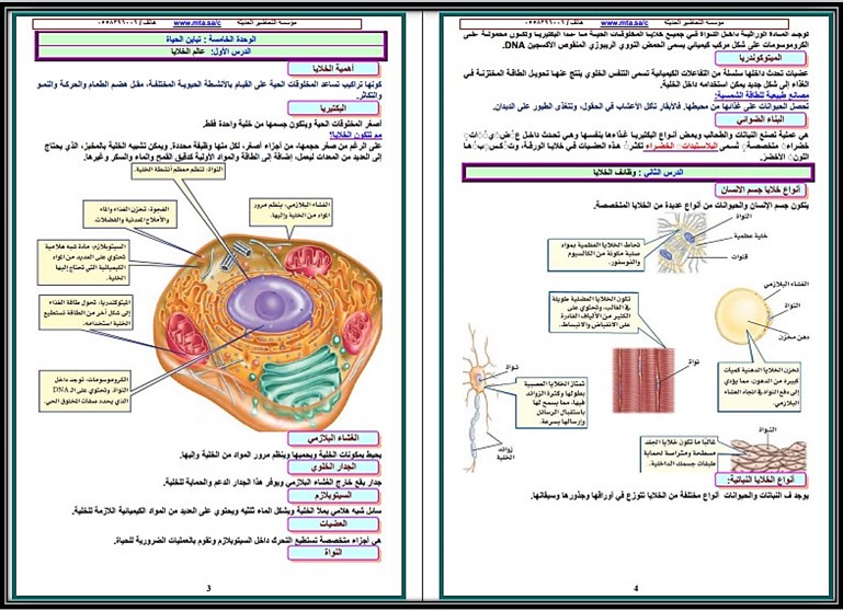 حل أسئلة مادة العلوم الأول المتوسط الفصل الثالث