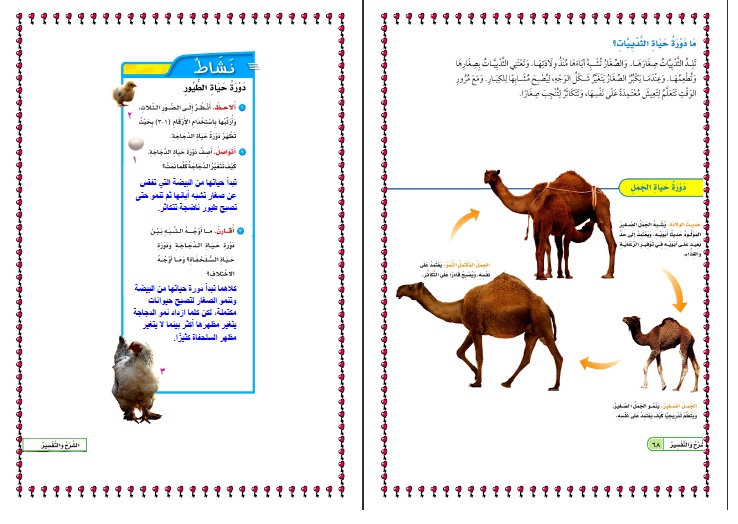 ميز مراحل دورة الحياة للثدييات ؟ مادة العلوم ثالث ابتدائى