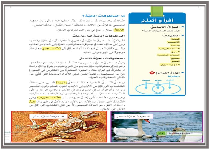 هل يمكن أن يتكون المخلوق الحي من خلية واحدة ؟ فسر ذلك ؟ مادة العلوم رابع ابتدائي 