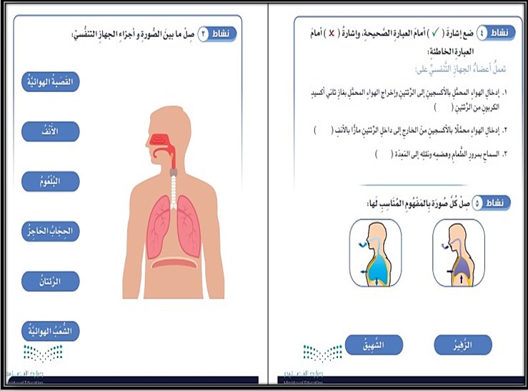 بوربوينت مادة علوم الصف الرابع الابتدائي التربية الفكرية فصل دراسي الثالث