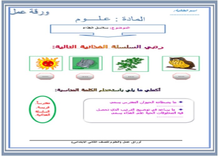 تحضير درس سلاسل الغذاء لمادة العلوم الصف الثاني الابتدائي  