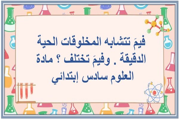 فيمَ تتشابه المخلوقات الحية الدقيقة . وفيمَ تختلف ؟ مادة العلوم سادس إبتدائي 