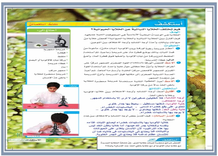 فيمَ تتشابه المخلوقات الحية الدقيقة . وفيمَ تختلف ؟ مادة العلوم سادس إبتدائي 
