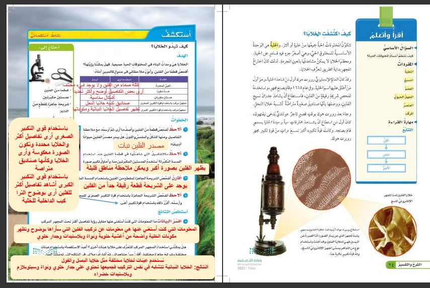 كيف تنتج الخلية خلايا جديدة ؟ مادة العلوم سادس إبتدائي
