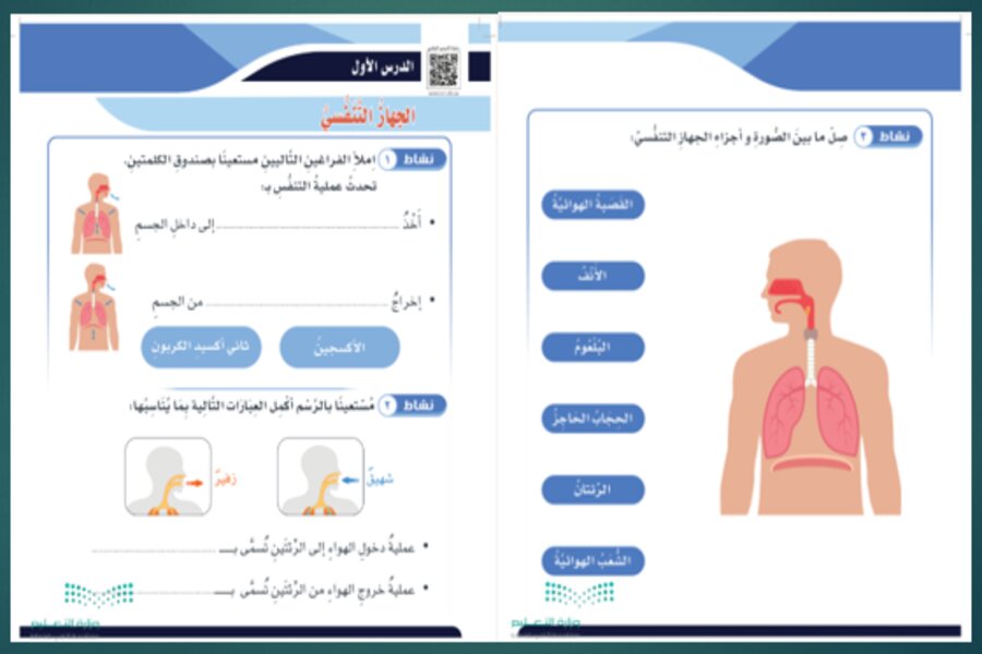 تحضير مادة العلوم الصف الرابع الابتدائي التربية الفكرية فصل دراسي الثالث