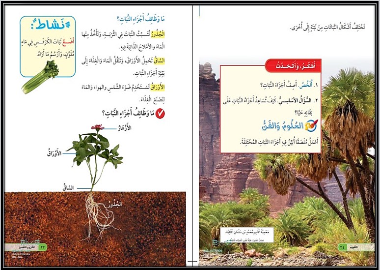 بوربوينت علوم أول ابتدائي فصل أول
