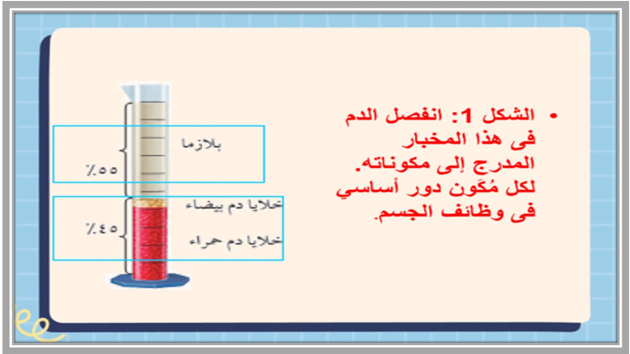 بوربوينت علوم ثاني متوسط الفصل الثاني