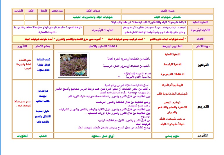 أوراق عمل مادة الأحياء (2-1) ثاني ثانوي مسارات الفصل الدراسي الأول نموذج تحضير مادة الأحياء (2-1) ثاني ثانوي مسارات الفصل الدراسي الأول