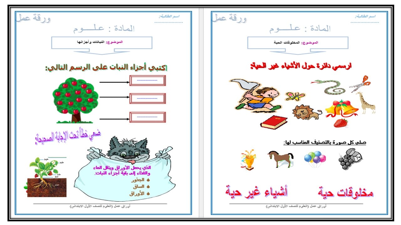 ورق عمل علوم أول ابتدائي فصل أول