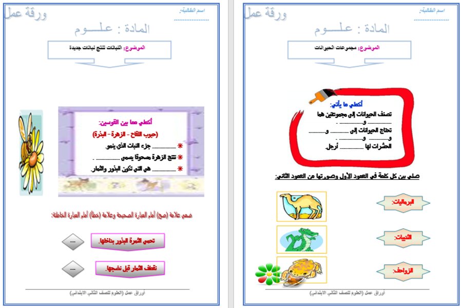 ورق عمل علوم ثاني ابتدائي فصل أول
