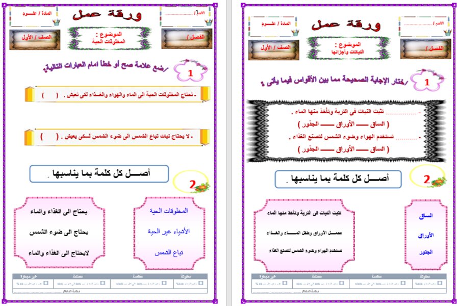 ورق عمل مادة العلوم للصف الاول الابتدائي 
