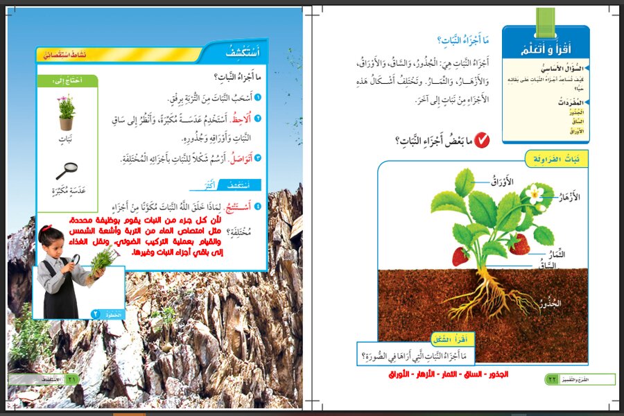ورق عمل مادة العلوم للصف الاول الابتدائي 