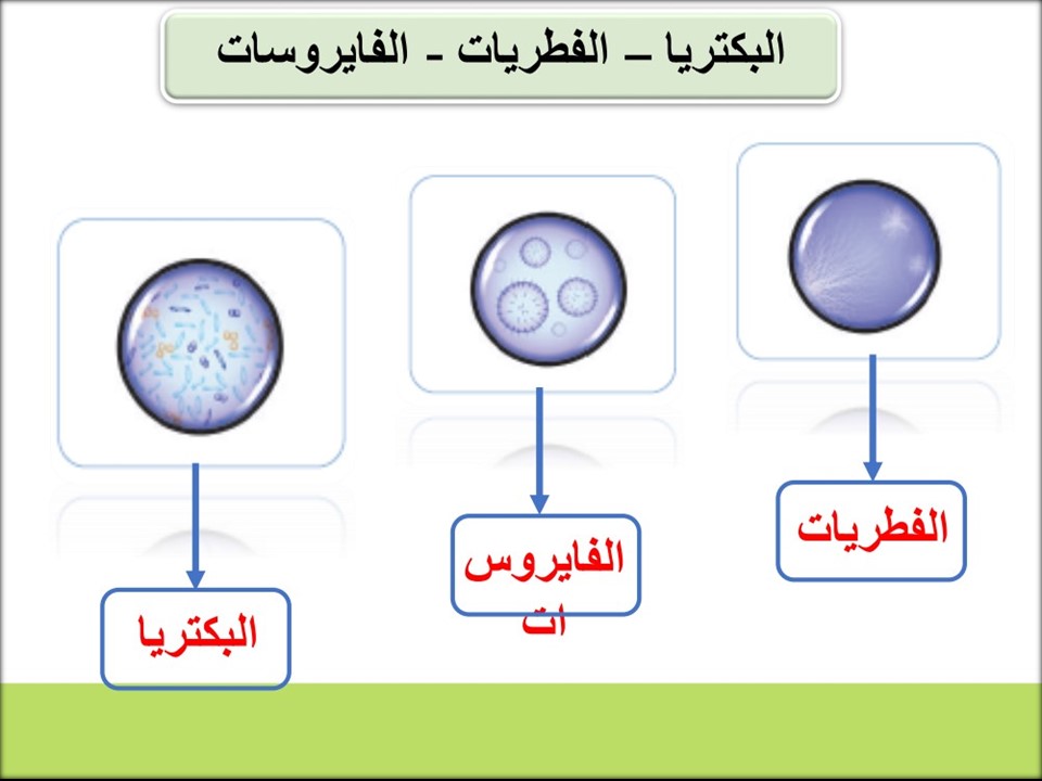 ورق عمل علوم فكرية صف ثالث متوسط فصل دراسي اول