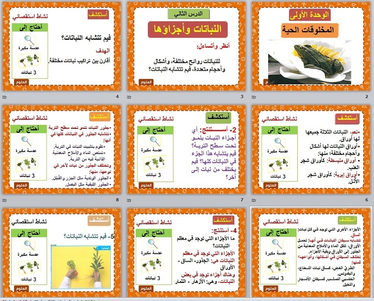 نموذج بوربوينت علوم ثالث ابتدائي منصة مدرستي