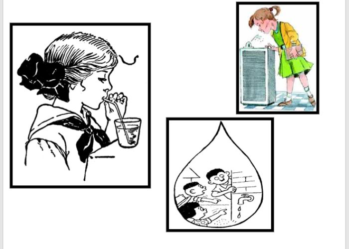 اهداف وحدة الماء لرياض الأطفال