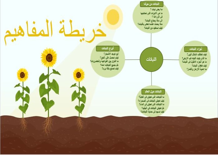 وحدة النبات لرياض الأطفال