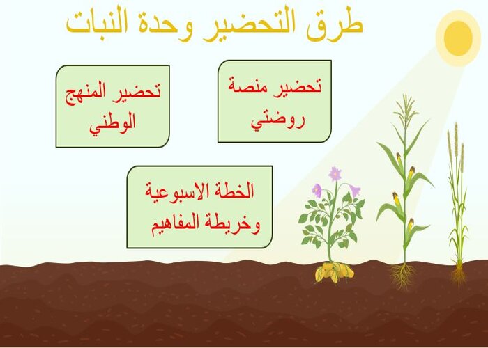 وحدة النبات لرياض الأطفال