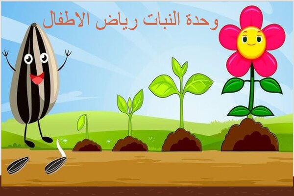 وحدة النبات لرياض الأطفال
