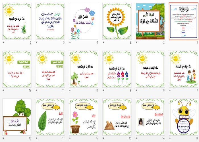 مهارات التفكير علوم الصف الأول الابتدائي الفصل الأول مدرستي
