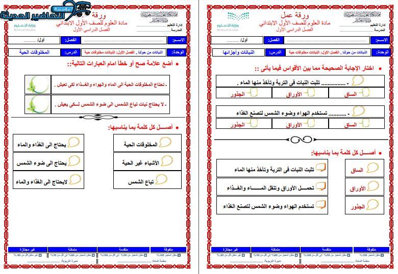 مهارات التفكير علوم الصف الأول الابتدائي الفصل الأول مدرستي