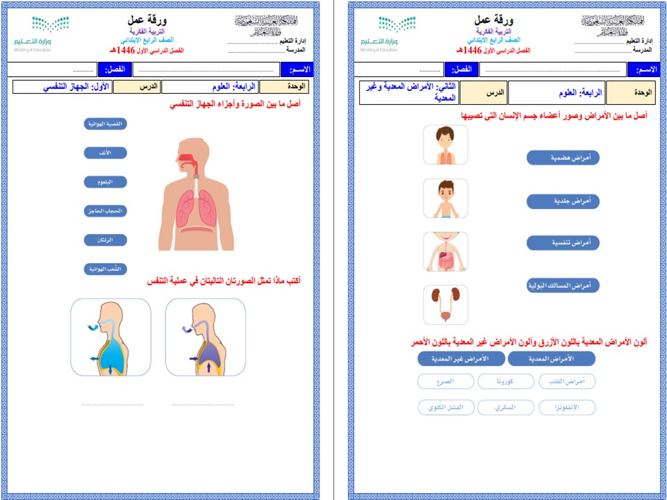 مفردات الدرس مادة علوم تربية فكرية الفصل الأول مدرستي