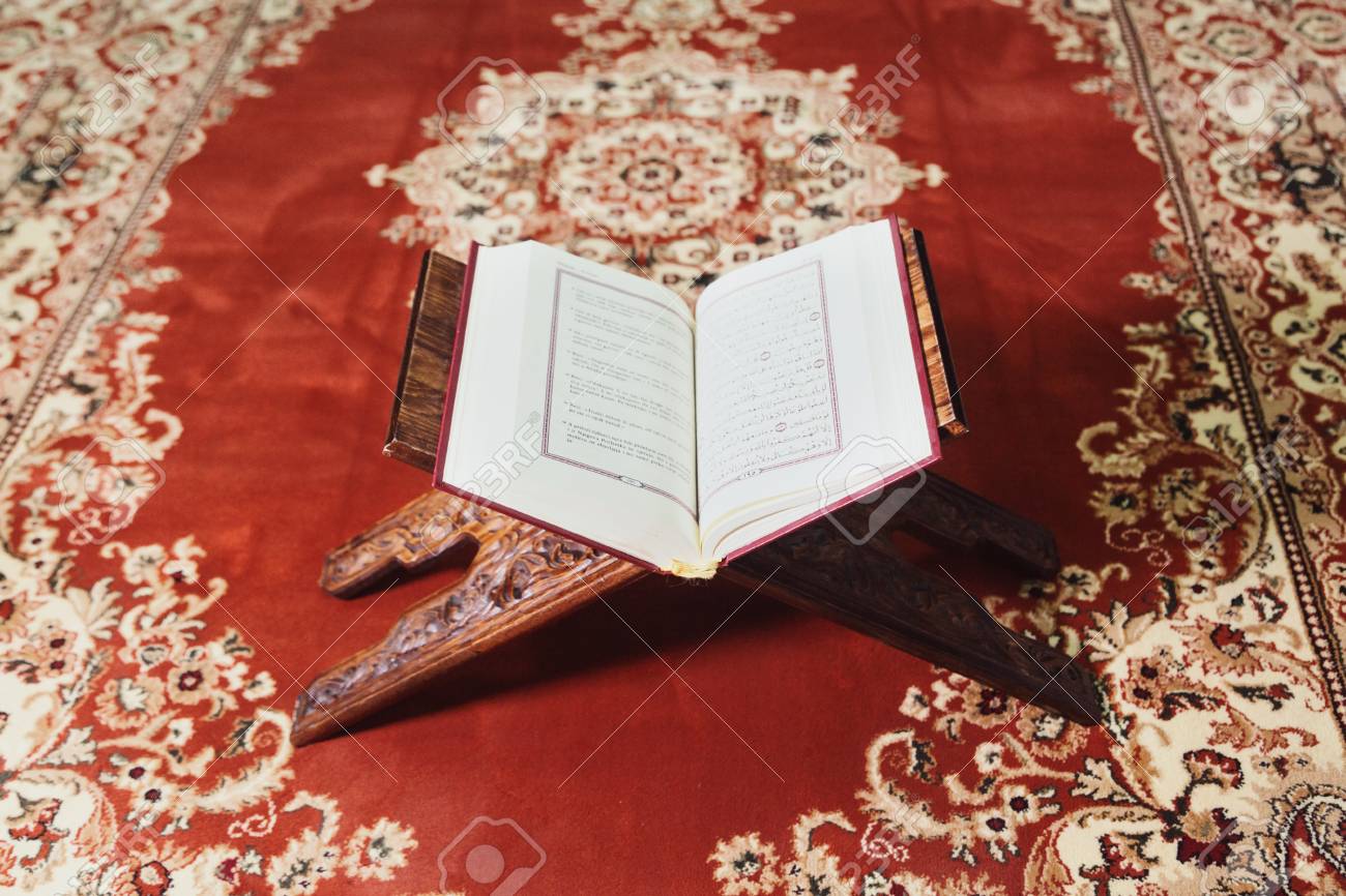 المقالات