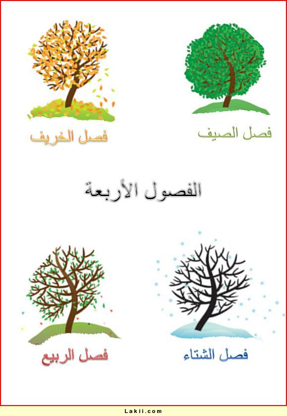 المقالات