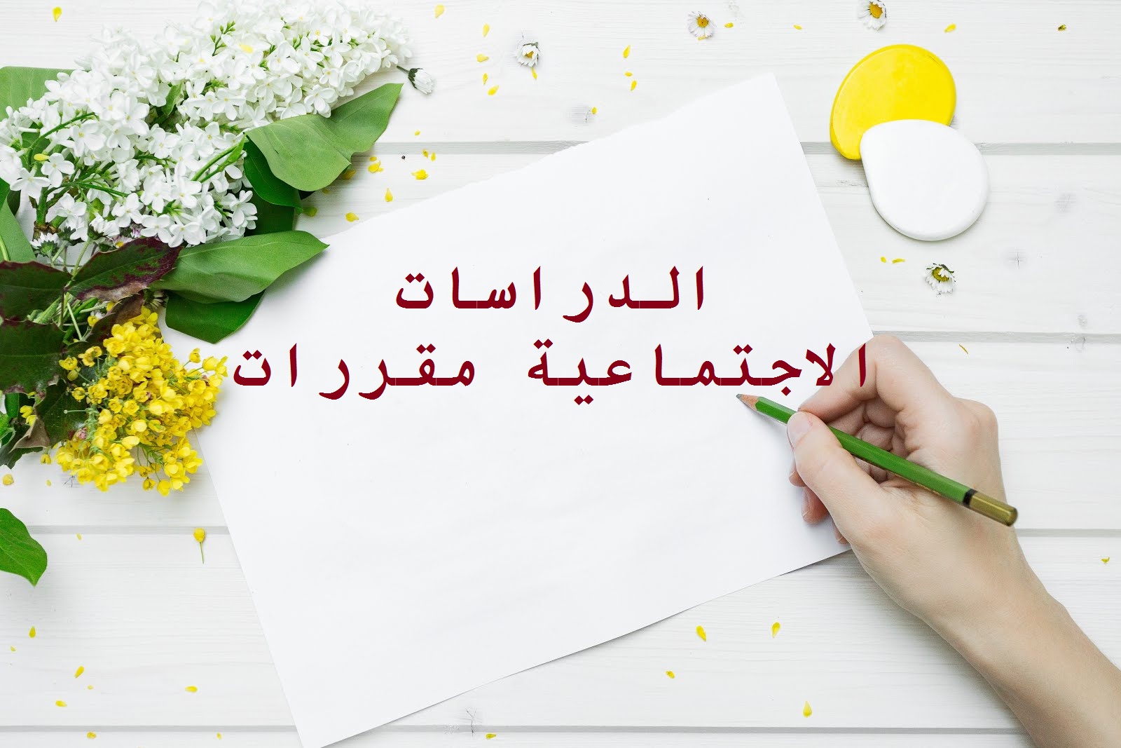 المقالات