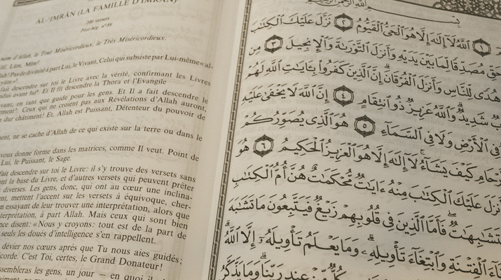المقالات
