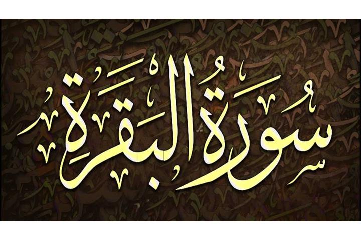 المقالات