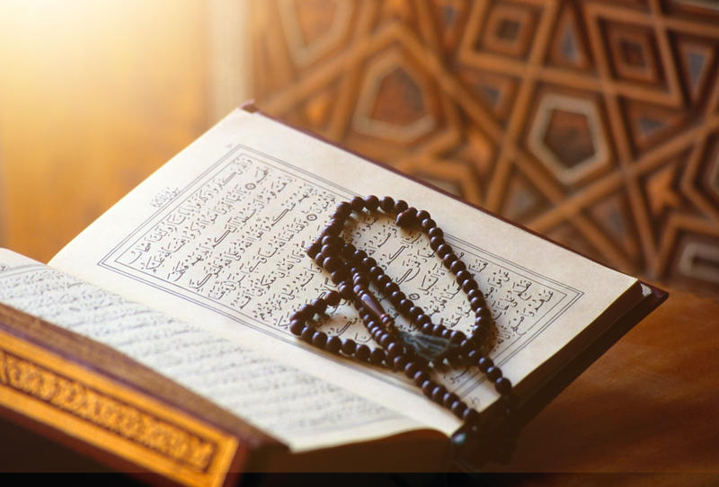 المقالات