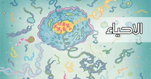 المقالات