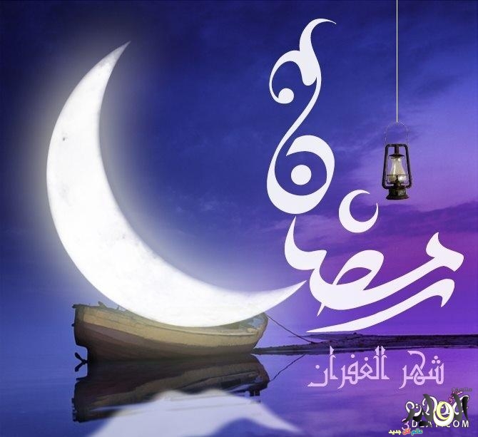 المقالات