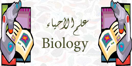 المقالات