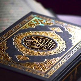 المقالات