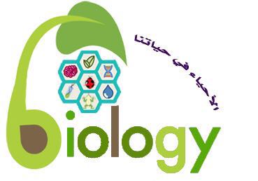 المقالات