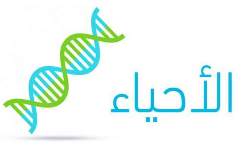 المقالات