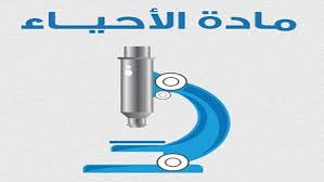 المقالات