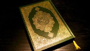 المقالات