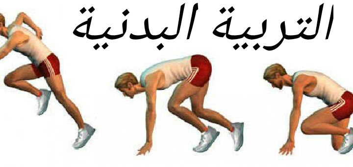 المقالات