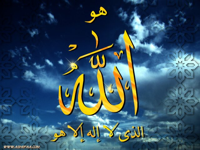 المقالات