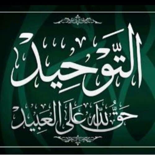 المقالات