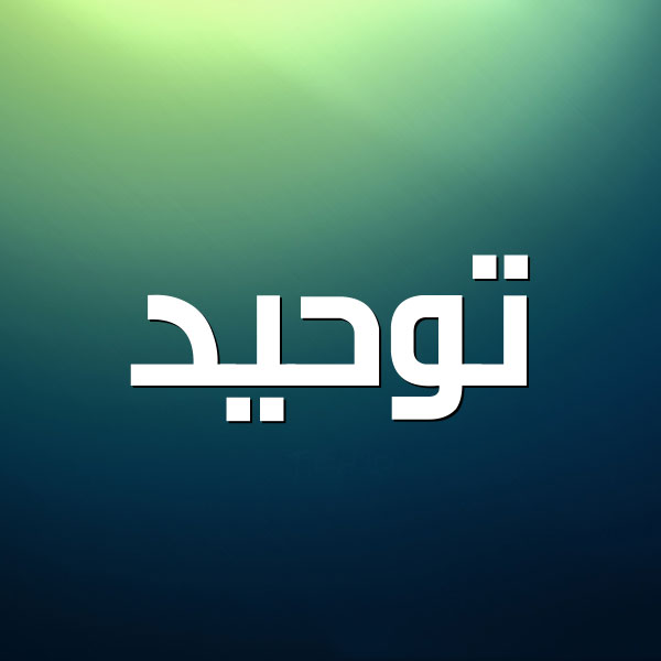 المقالات