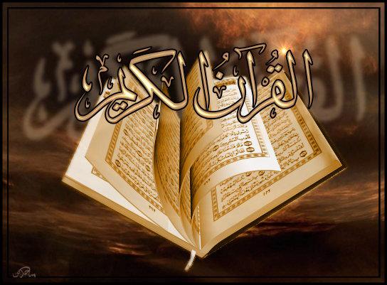 المقالات